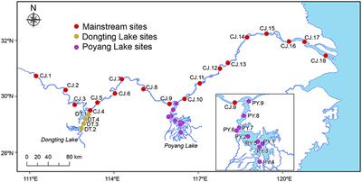 Biogeographic patterns of potential pathogenic bacteria in the middle and lower reaches of the Yangtze River as well as its two adjoining lakes, China